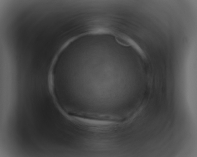 X0000100921476200807081140