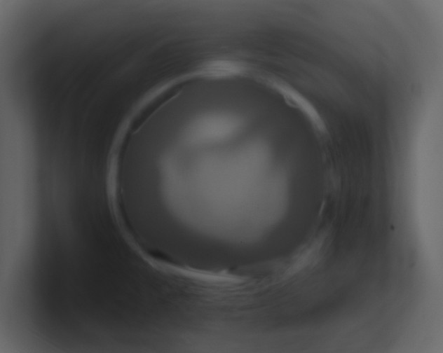 X0000100921477200807081140