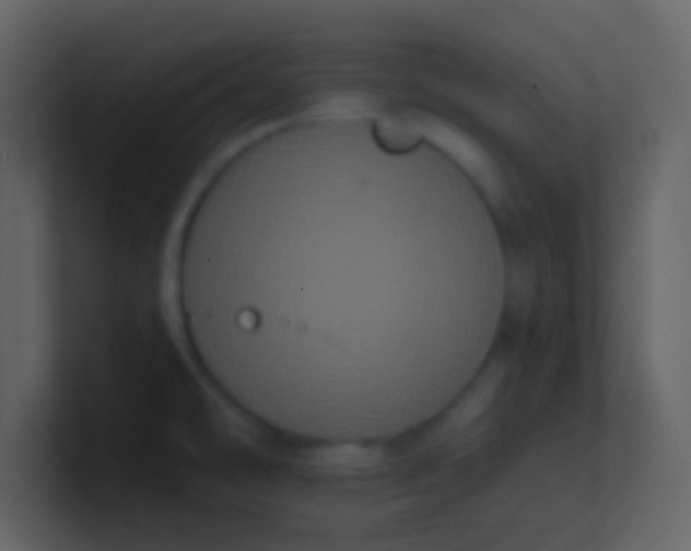 X0000100921478200807081140