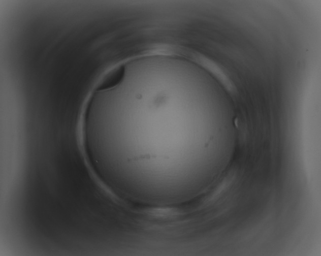 X0000100921479200807081140