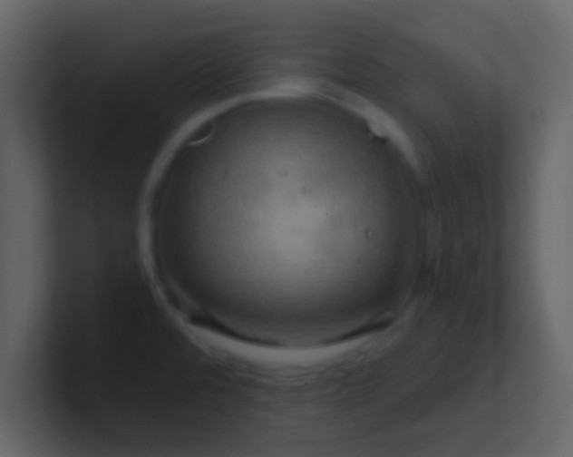 X0000100921480200807081140