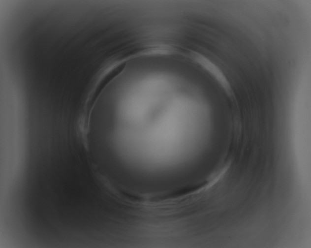 X0000100921481200807081140