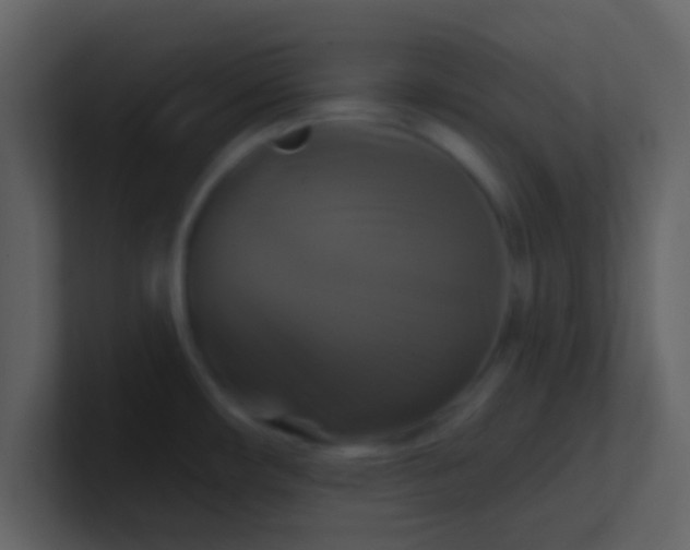 X0000100921482200807081140