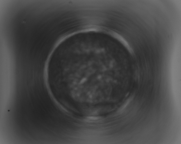 X0000100921483200807081140