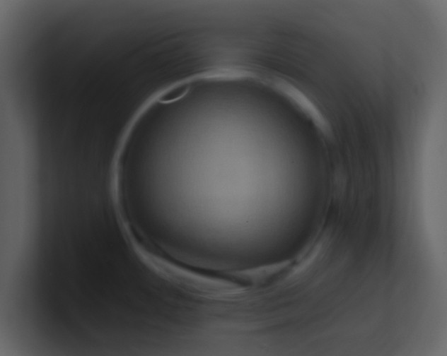 X0000100921484200807081140