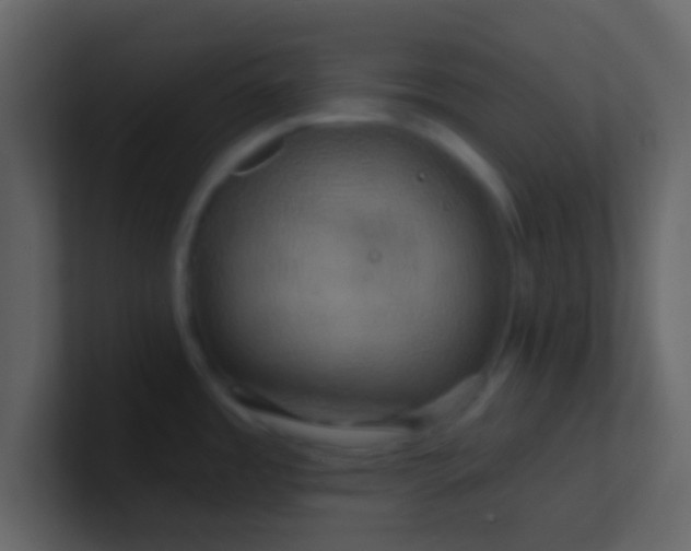 X0000100921485200807081140