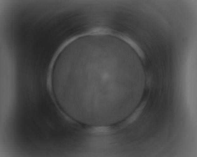 X0000100921486200807081140