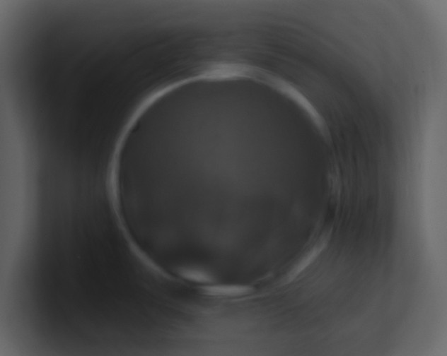 X0000100921487200807081140