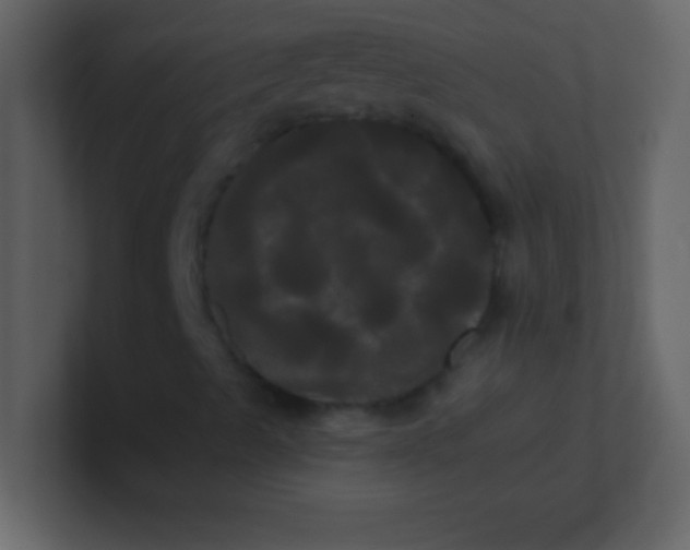 X0000100921489200807081139