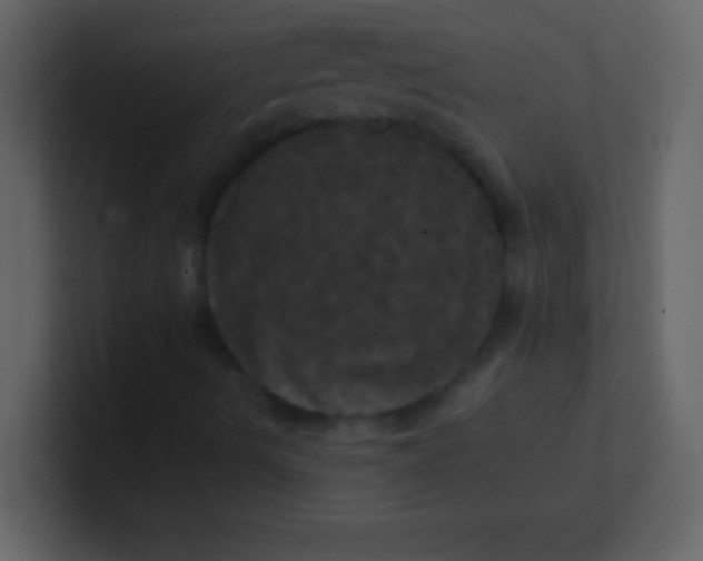 X0000100921490200807081139