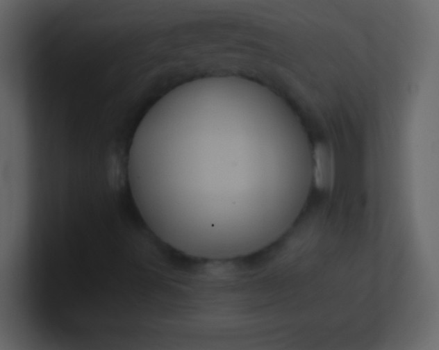 X0000100921491200807081139