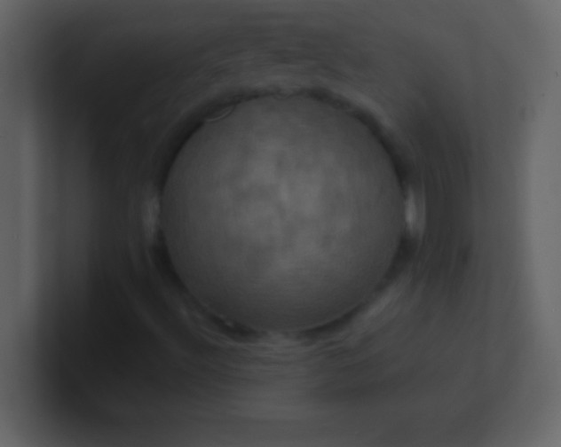 X0000100921492200807081139