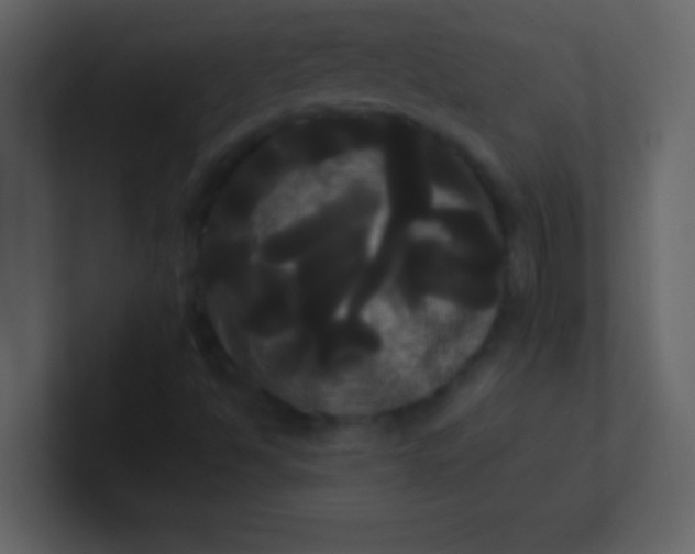 X0000100921494200807081139