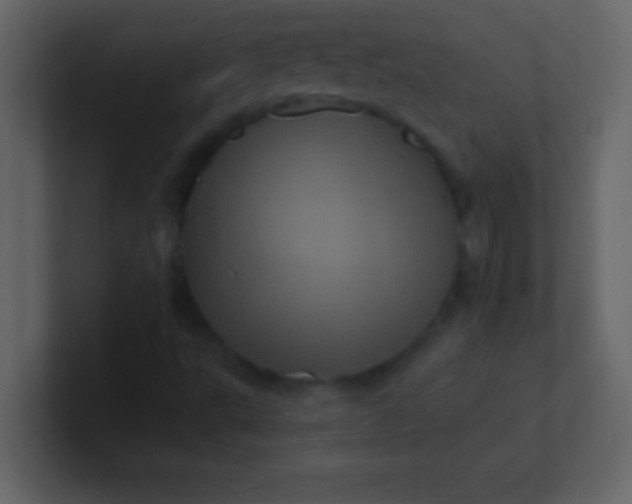 X0000100921495200807081139