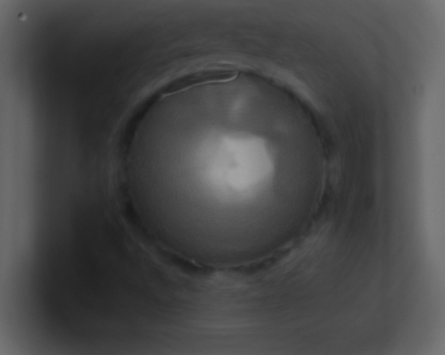 X0000100921496200807081139