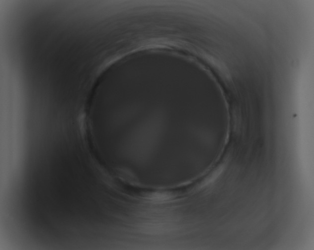 X0000100921497200807081139