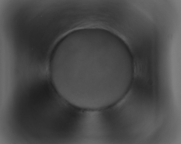 X0000100921498200807081139