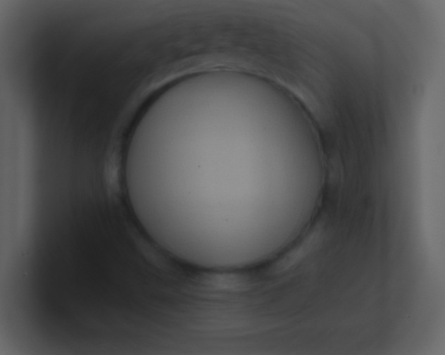 X0000100921499200807081139