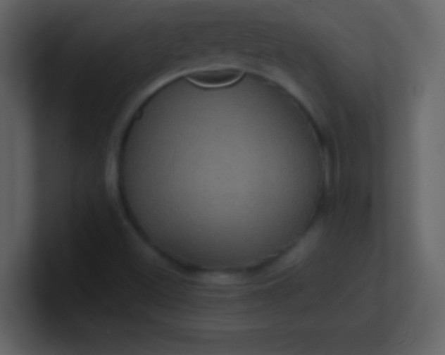 X0000100921500200807081139