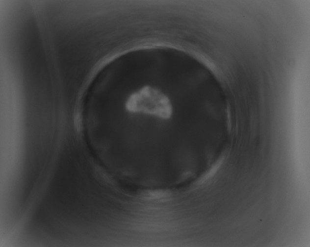 X0000100921501200807081139