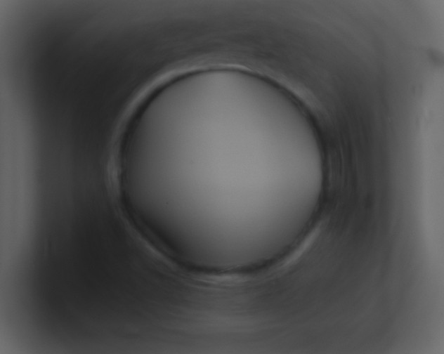 X0000100921502200807081139