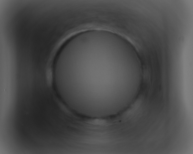 X0000100921503200807081139