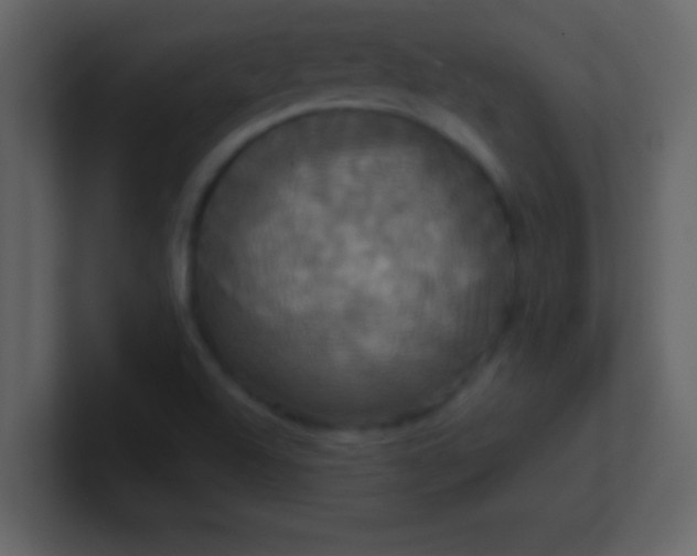 X0000100921504200807081139