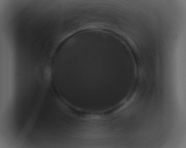 X0000100921505200807081139