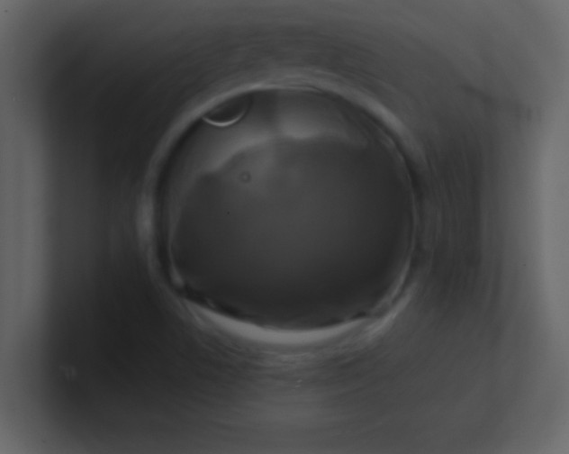 X0000100921506200807081139