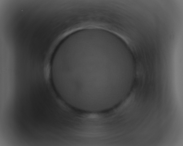 X0000100921507200807081139