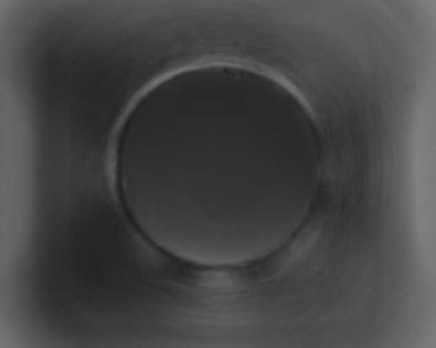 X0000100921508200807081139