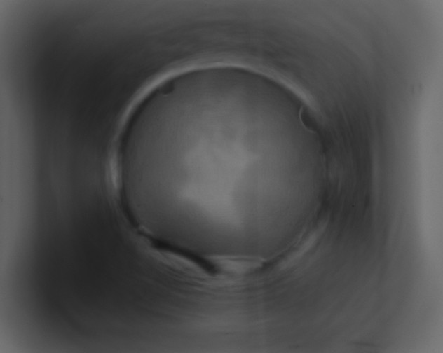 X0000100921510200807081139