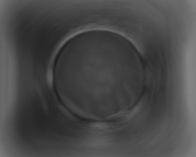 X0000100921511200807081139