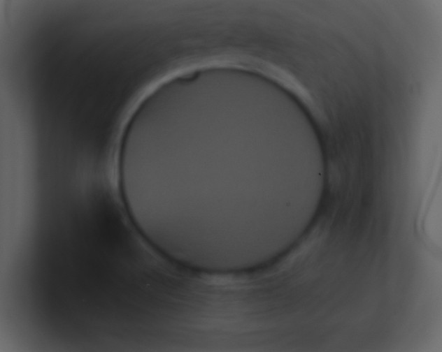 X0000100921512200807081139