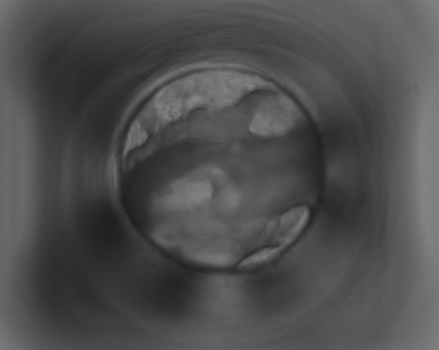 X0000100921514200807081140