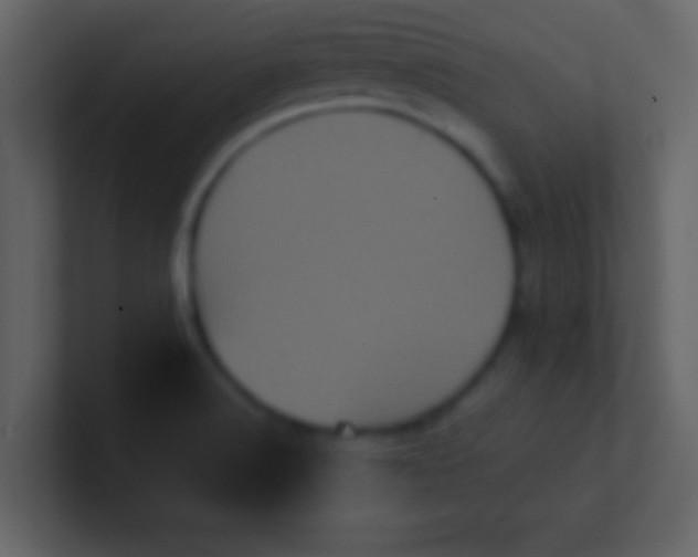 X0000100921516200807081140