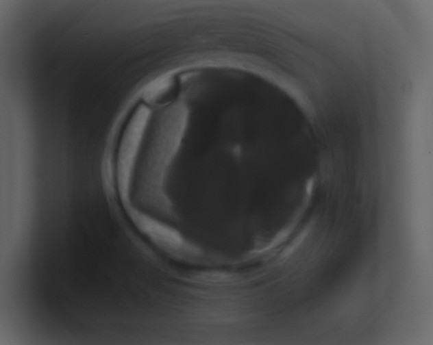 X0000100921517200807081140