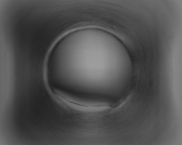 X0000100921518200807081140