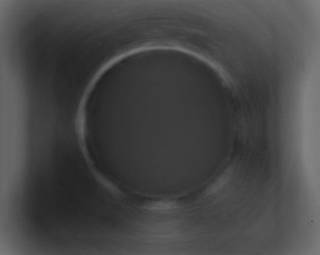 X0000100921519200807081140