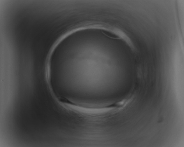 X0000100921520200807081140