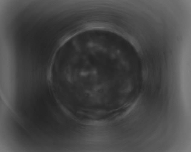 X0000100921521200807081140