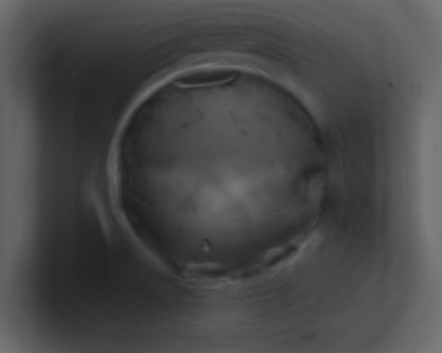 X0000100921522200807081140