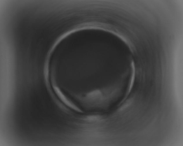 X0000100921523200807081140