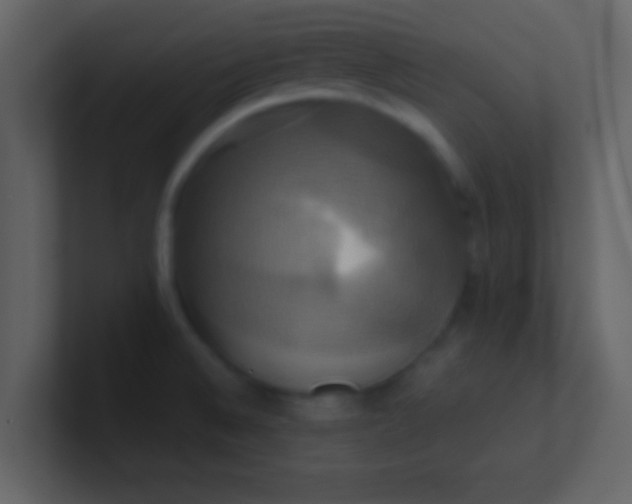 X0000100921524200807081140