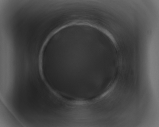 X0000100921525200807081140