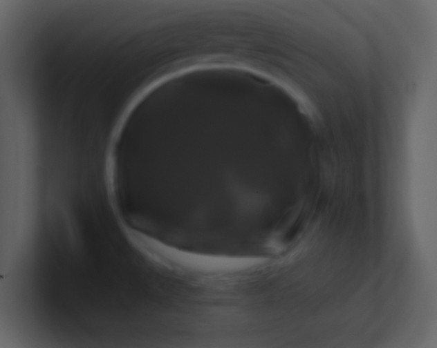 X0000100921527200807081140