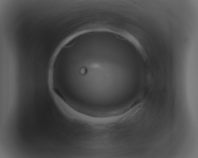 X0000100921528200807081140