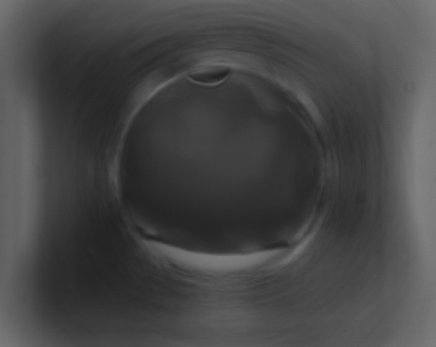 X0000100921529200807081140