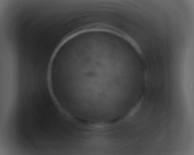 X0000100921530200807081140