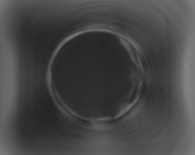 X0000100921531200807081140